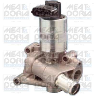 EGR Valve